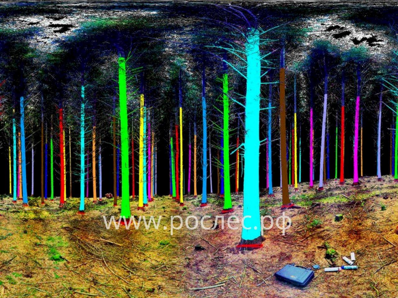 Технологии лазерного сканирования сделают таксацию лесов быстрой и точной