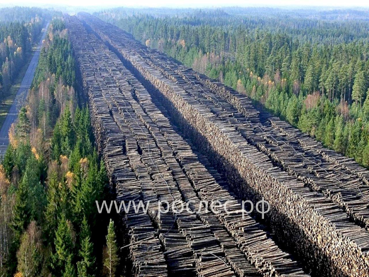 У кого Segezha Group приобрела сразу несколько деревообрабатывающих заводов в Иркутской области и  Красноярском крае.  