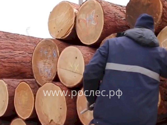 Новые правила экспорта леса - это настоящий вызов, и под них должна успеть адоптироваться вся лесопромышленная отрасль РФ.