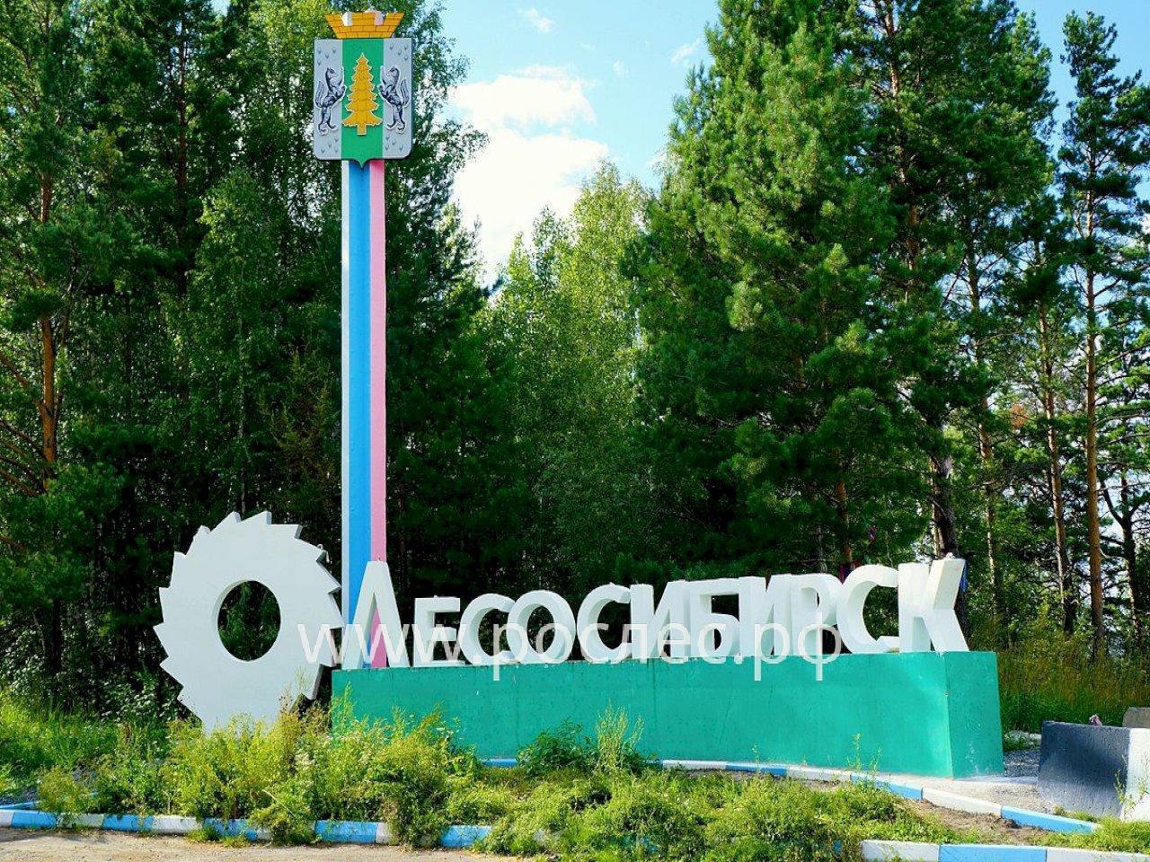 Предпринимателей лесной отрасли Красноярского края научат эффективно пользоваться мерами государственной поддержки