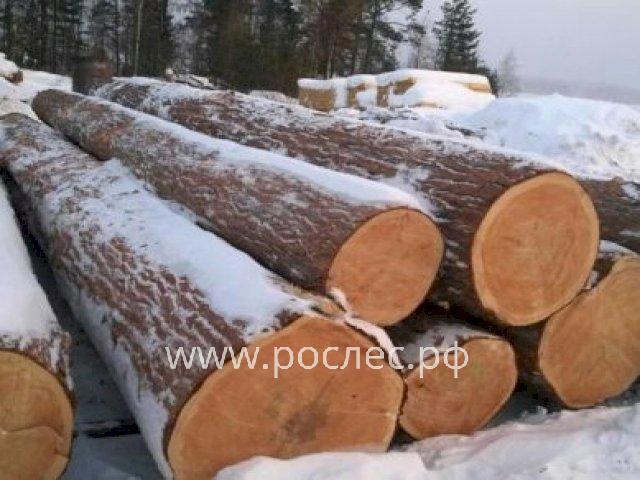 Российские лесопромышленники не готовы к новой ЛесЕГАИС