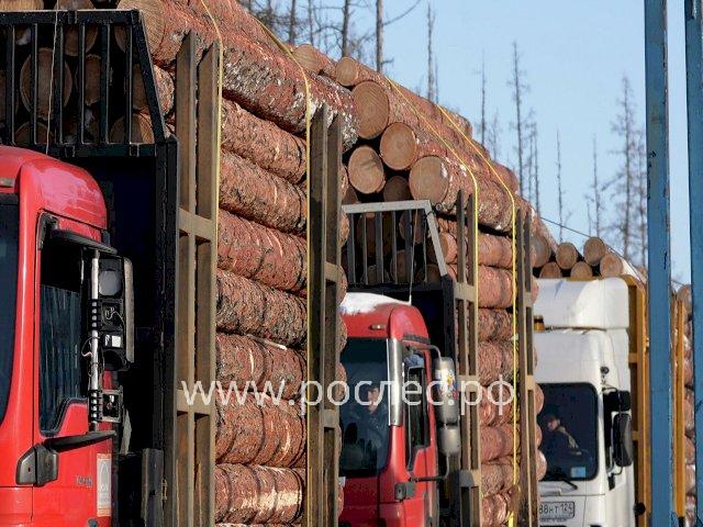 ЕС оспорил в ВТО российские ограничения на экспорт древесины  