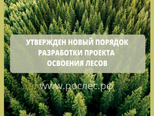 С 1 марта 2023 года начинает действовать обновленный порядок разработки проекта освоения лесов.  