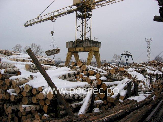 В профобъединении пермских лесопромышленников произошел раскол