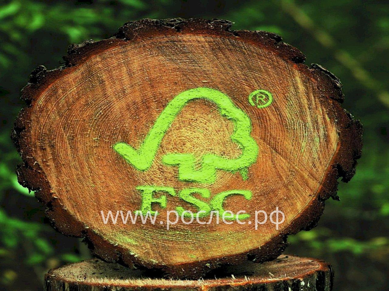 Продукция из российской древесины с апреля не сможет продаваться как FSC-сертифицированная