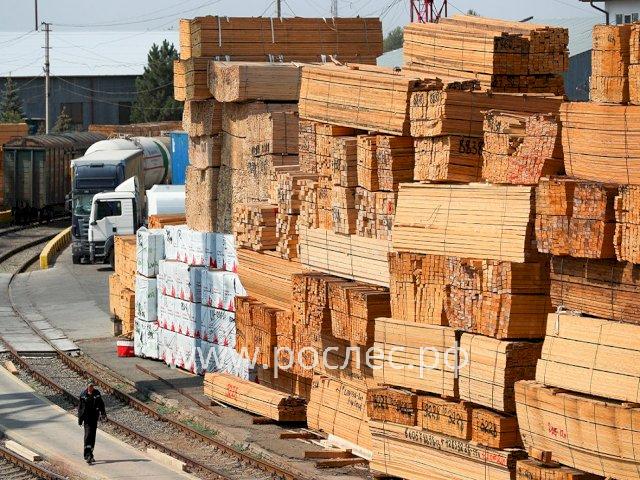 Российский Минпромторг предложил до конца года запретить экспорт древесины