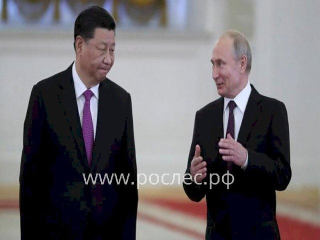 Китай готовится построить ряд деревообрабатывающих заводов на территории России