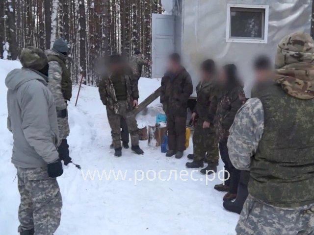 В Иркутске будут судить банду, незаконно отправившую в Китай лес на 900 миллионов