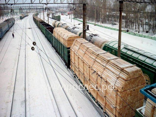 Правительство вновь приоткрыло границы для экспорта необработанной древесины