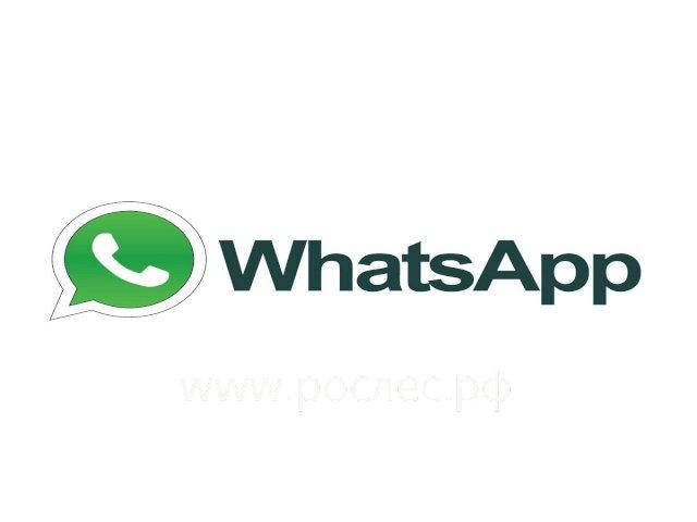 Роскомнадзор поставил точку в вопросе блокировки WhatsApp