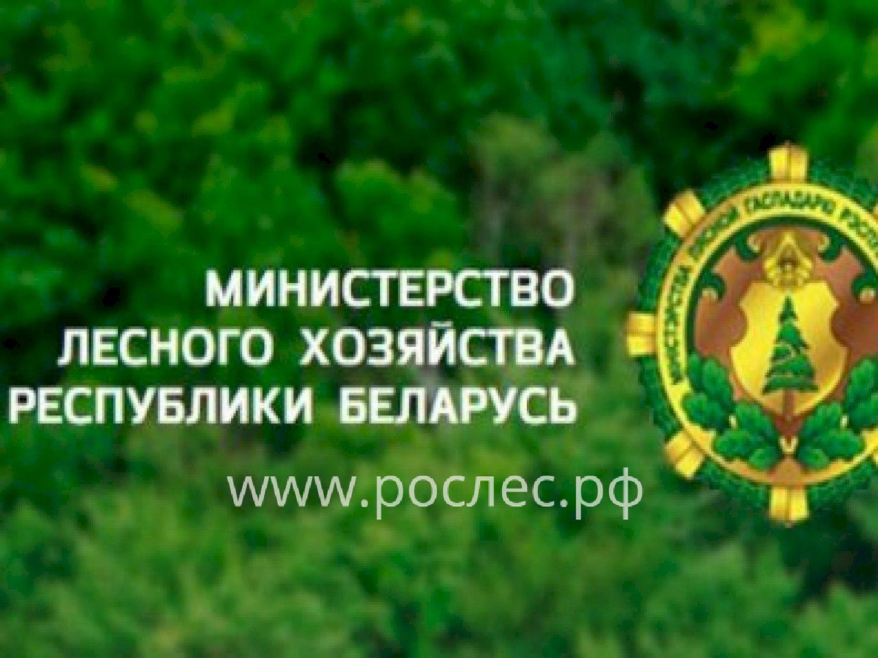 Минлесхоз Республики Беларусь поддержит переработчиков внутри страны и пересмотрит условия действующих контрактов