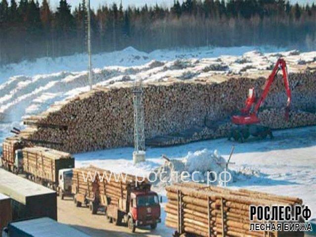 Заседание Совета по вопросам развития лесного комплекса при Совете Федерации РФ состоялось в Красноярске