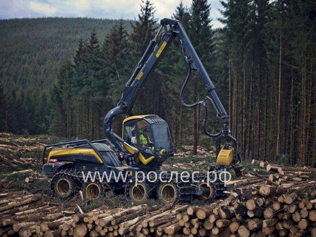 В Красноярском крае пятнадцать лесопромышленных предприятий воспользовались отсрочкой по арендным платежам