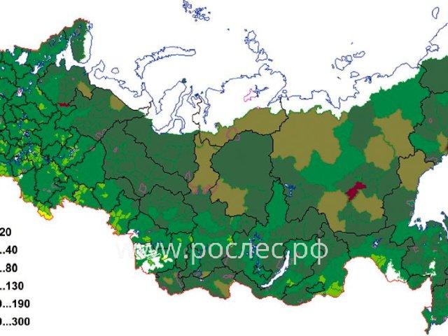 РосЛесинфорг оценил стоимость всех лесов России на конец 2022 года, она составила 73,3 трлн рублей.