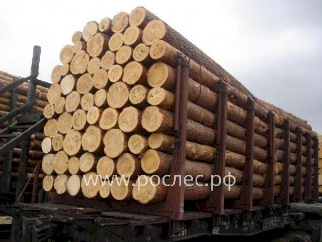 Путин призвал отказаться от экспорта необработанной древесины