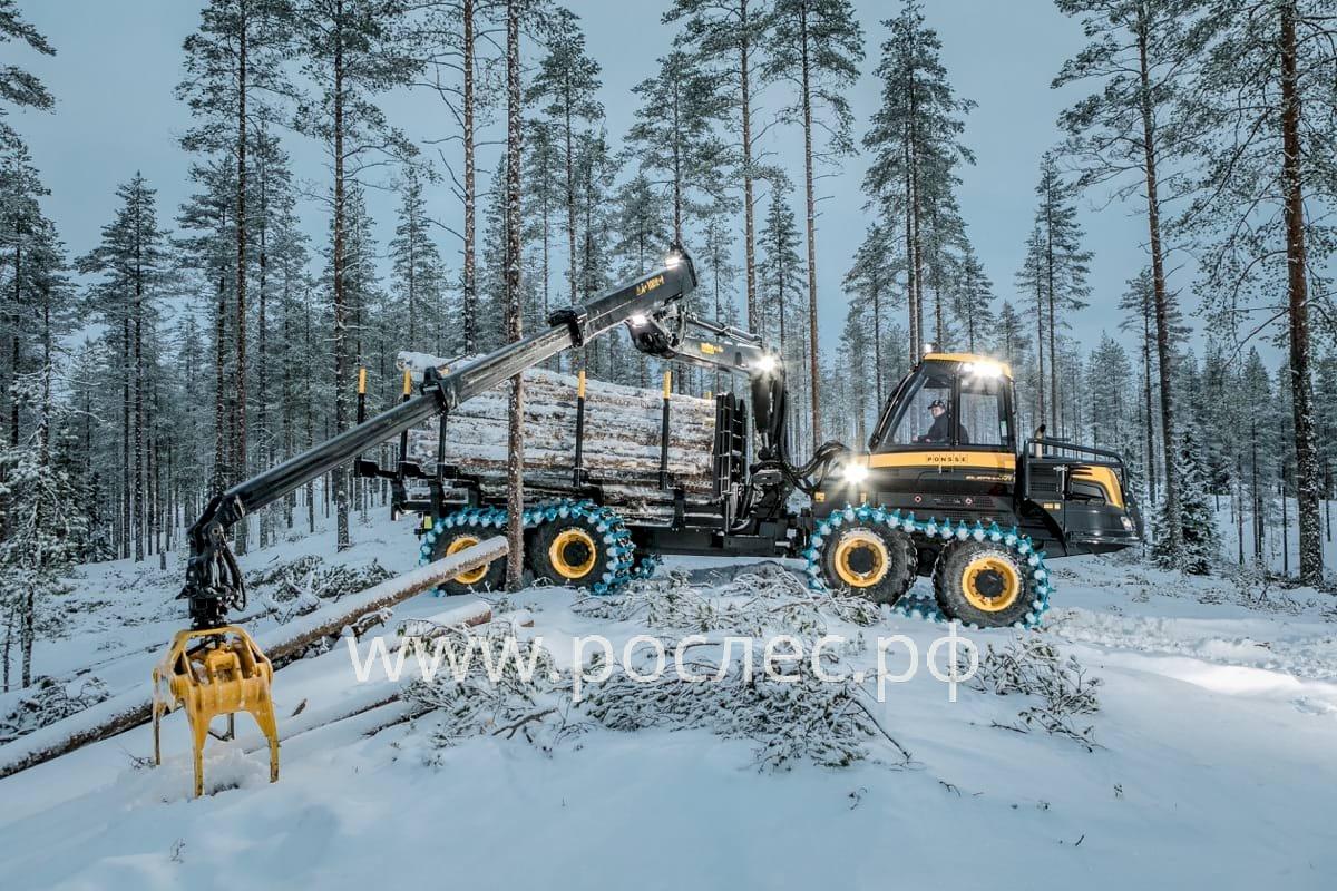 В Иркутской области планомерно сокращается количество мелких арендаторов леса под вырубку