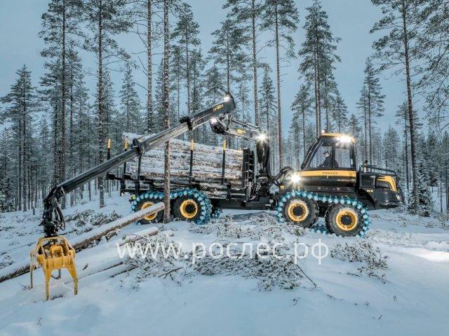 В Иркутской области планомерно сокращается количество мелких арендаторов леса под вырубку
