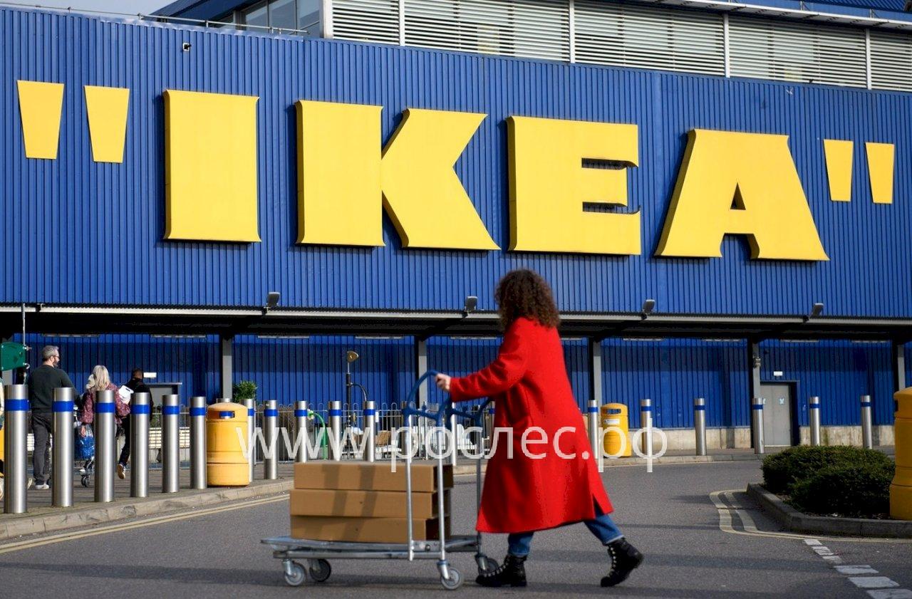 IKEA использует древесину из Польши и стран Балтии для компенсации поставок из РФ