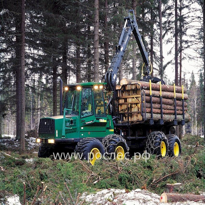 Путин заявил о непростой ситуации в лесопромышленном комплексе