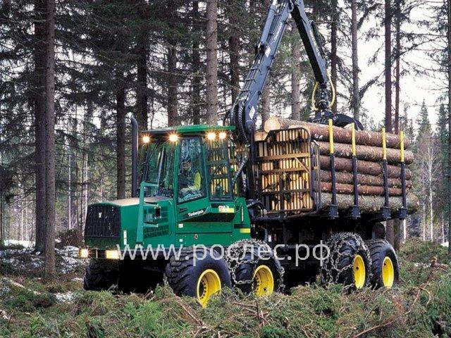 Путин заявил о непростой ситуации в лесопромышленном комплексе