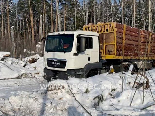В I квартале  экспорт Российского леса сократилась на 20,9%