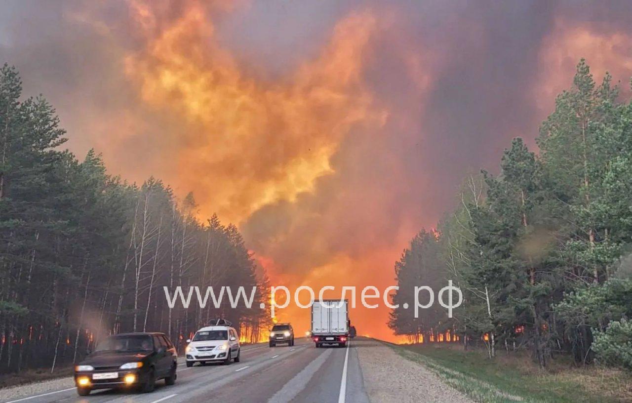 МЧС: в России полыхают тысячи гектаров леса