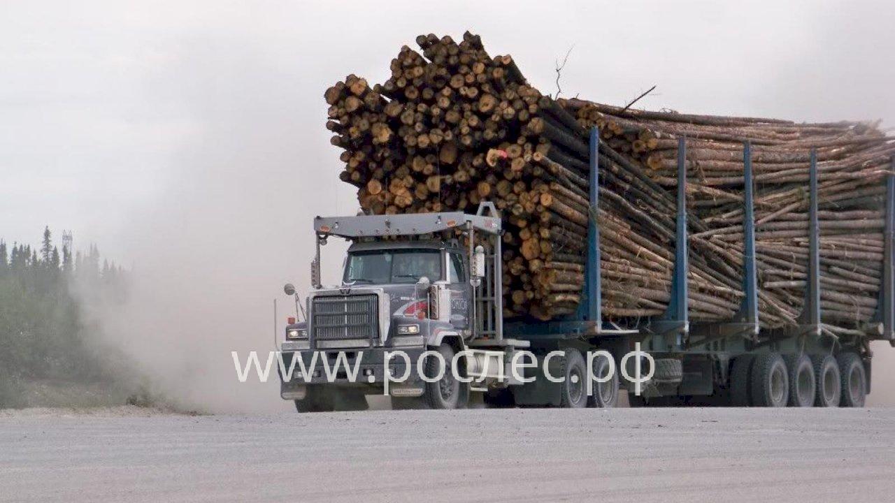 С 17 мая в ЛесЕГАИС усилили контроль за вывозкой древесины с лесосеки