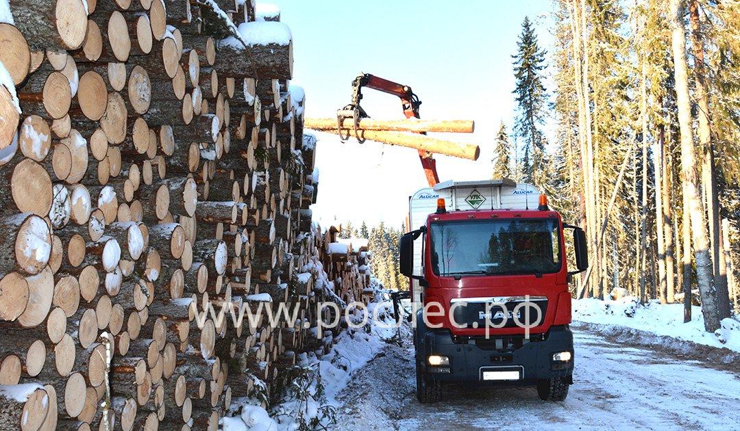 Топ 5 регионов России по заготовке леса