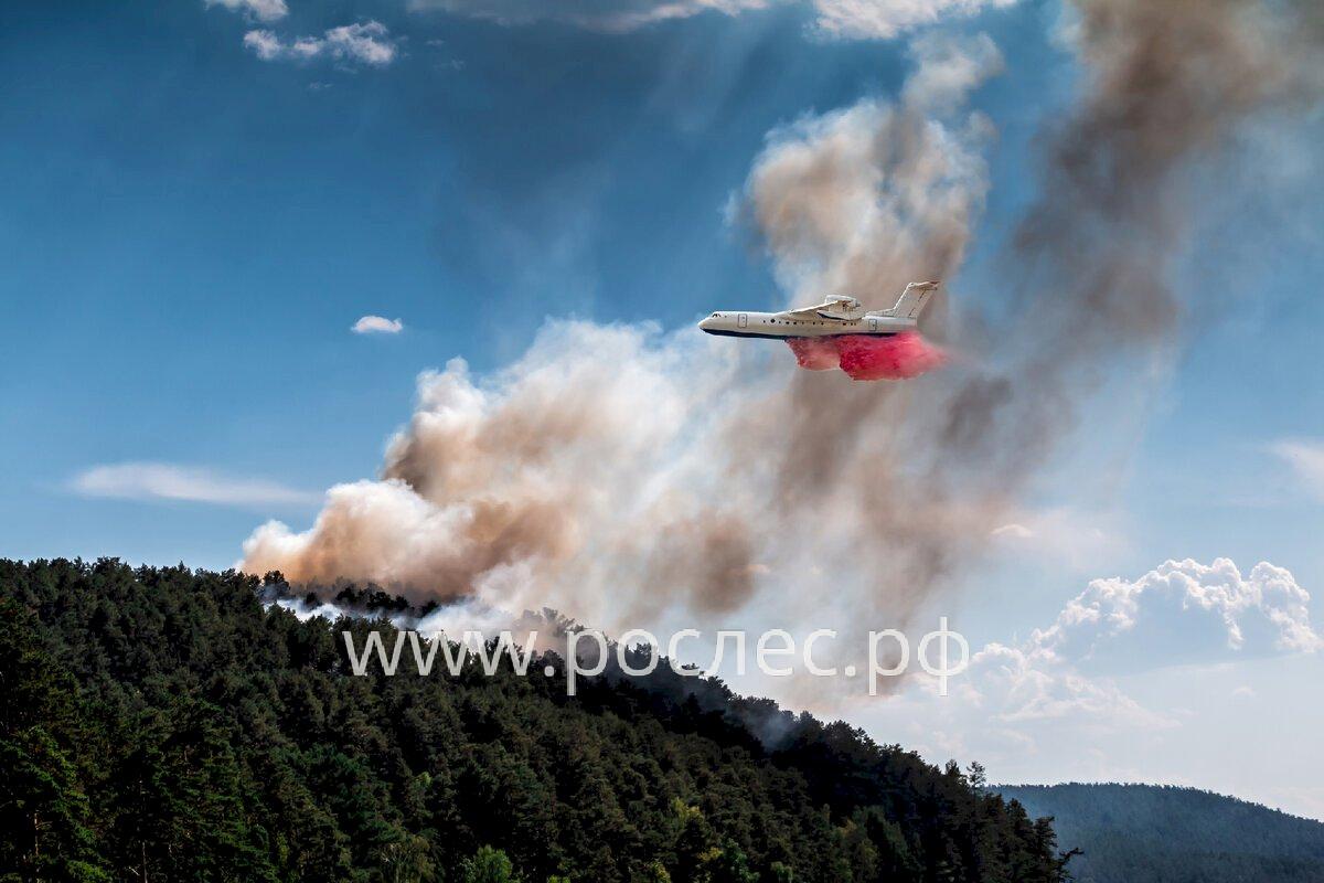 В РФ создается федеральный резерв авиации для охраны лесов от пожаров