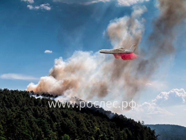 В РФ создается федеральный резерв авиации для охраны лесов от пожаров
