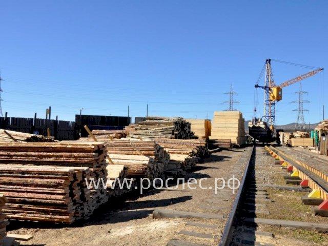Россия потеряла 22 млрд руб. на экспорте древесины. 